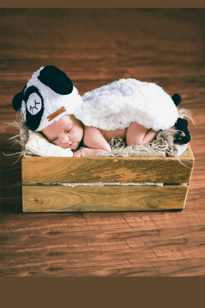 Baby Sheep Outfit Photography Prop